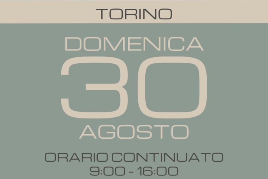 slide torino