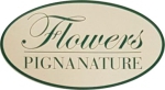 PIGNA FLOWERS