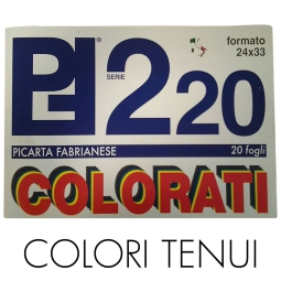 ALBUM F20 24X33 220GR 5PZ COLORI TENUI