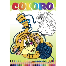LIBRO DA COLORARE COLORO GATTO 32PG V.2,60