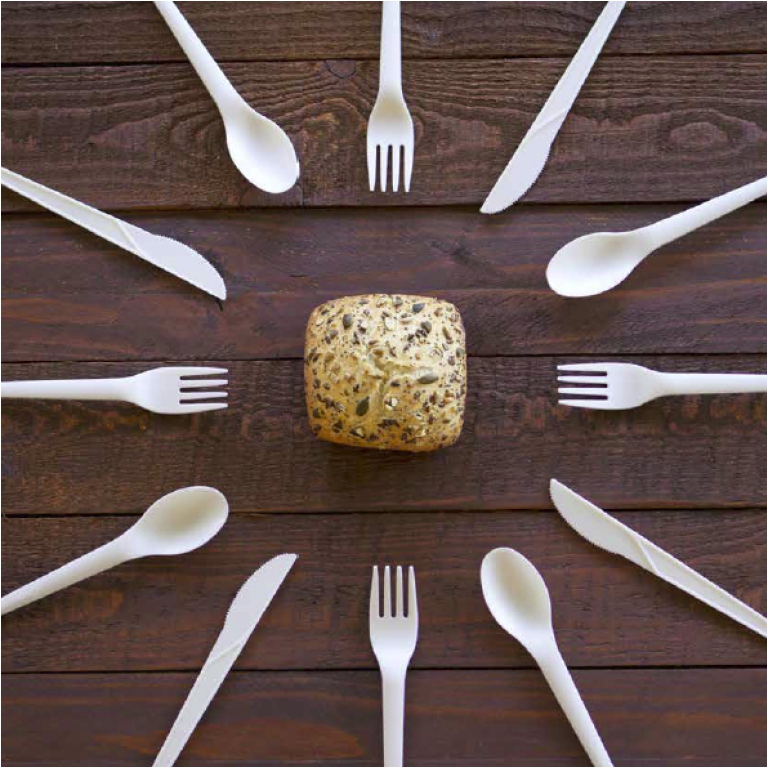 BIS POSATE BIO 100PZ CON TOVAGLIOLO 2