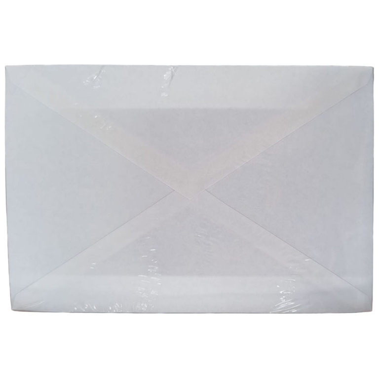BUSTE 12X18 80GR BIANCHE COMMERCIALE 25PZ 2