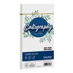 BUSTE CALLIGRAPHY 25PZ   SHIRO ECHO 11X22 GESSO