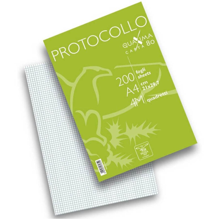 FOGLI PROTOCOLLO 200FG 4MM 80GR 4MM SENZA MARGINE