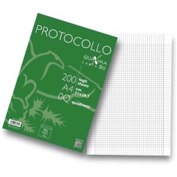 FOGLI PROTOCOLLO 200FG Q 80GR 5MM CON MARGINE