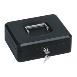 CASSETTA PORTAVALORI     25X18X8CM 064