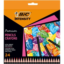 PASTELLI BIC INTENSITY 24COLORI