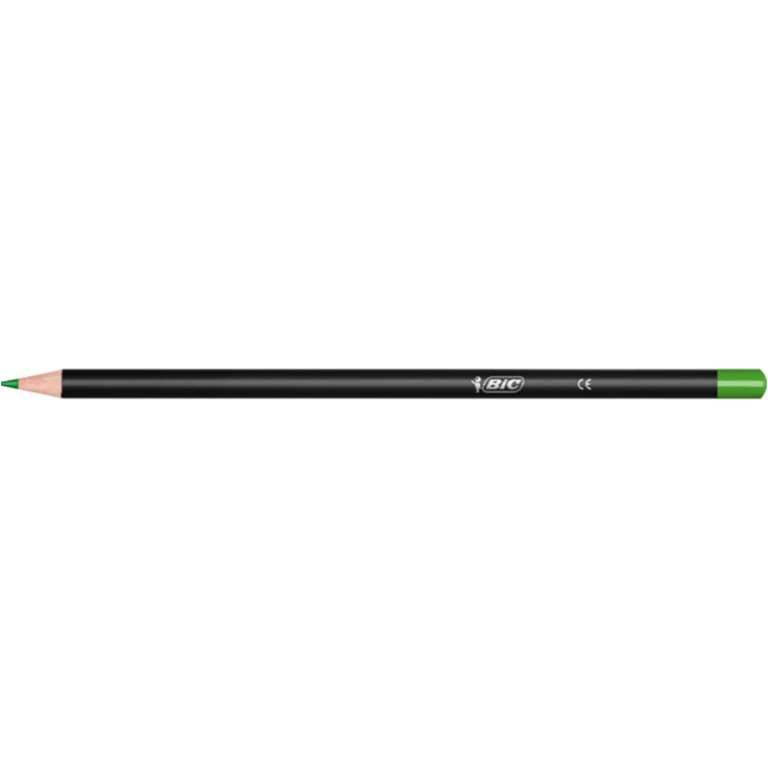 PASTELLI BIC INTENSITY 24COLORI 2