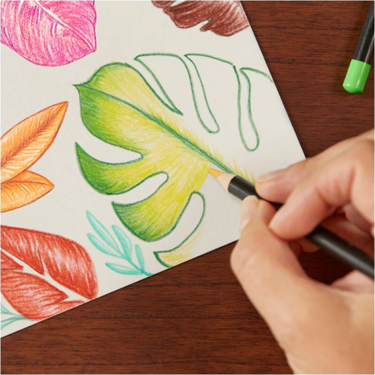 PASTELLI BIC INTENSITY 24COLORI 3