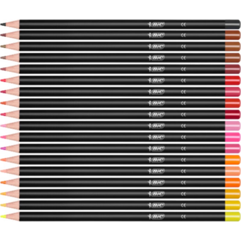 PASTELLI BIC INTENSITY 24COLORI 5