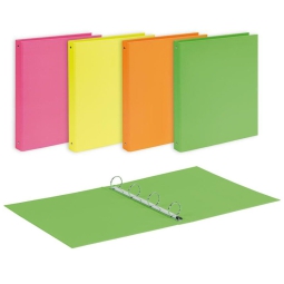 RACCOGLITORE AD ANELLI 22X30 030 CARTONE NEON