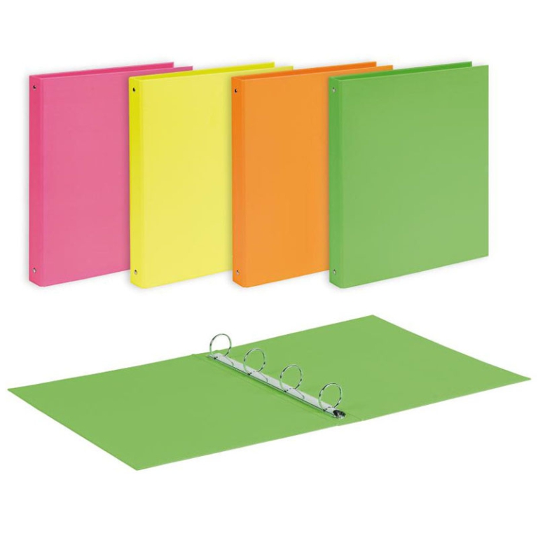 RACCOGLITORE AD ANELLI 22X30 030 CARTONE NEON