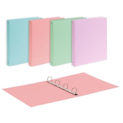 RACCOGLITORE AD ANELLI 22X30 030 CARTONE PASTEL