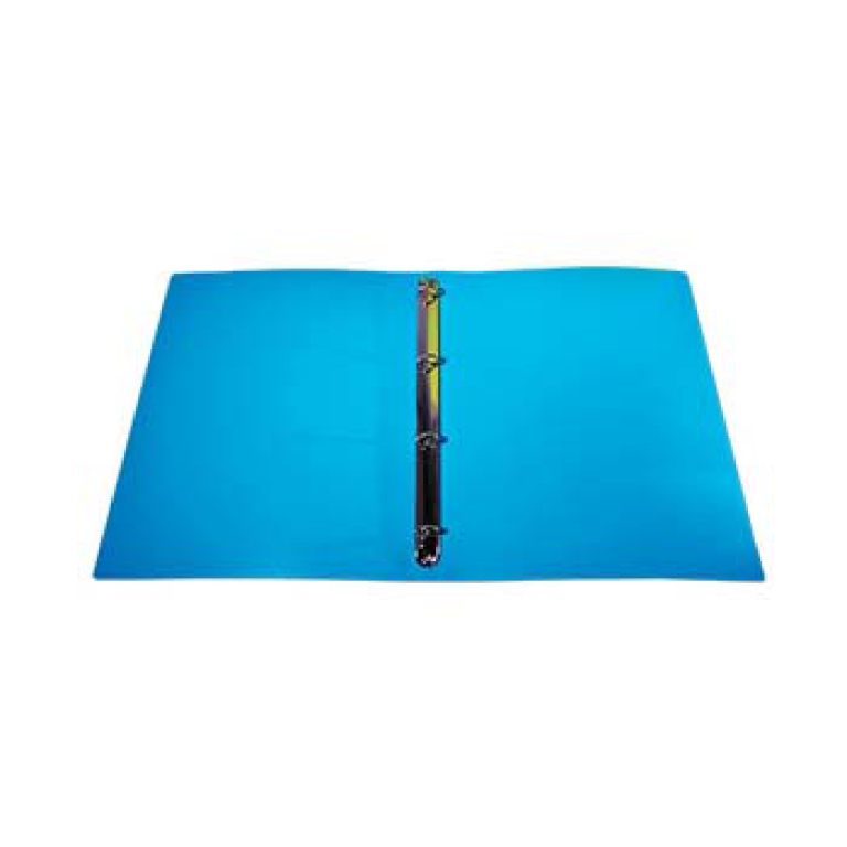 RACCOGLITORE AD ANELLI COLOR A4 016 A ANELLI PPL 2