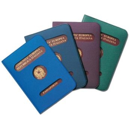 BUSTE PLASTICA PASSAPORTO 1012 12PZ