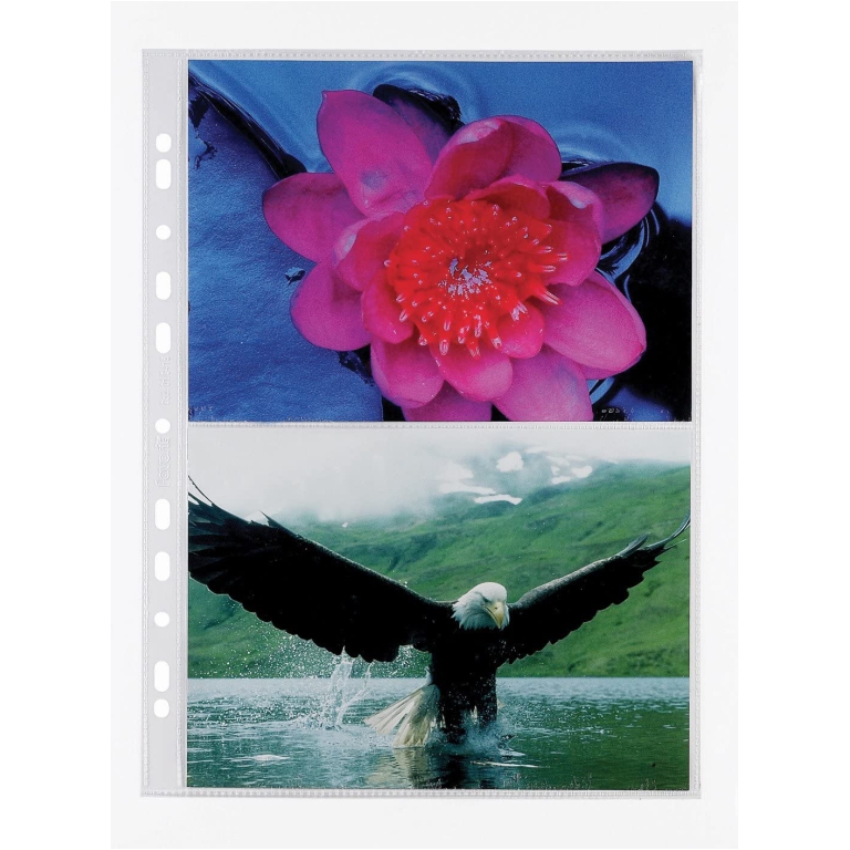 BUSTE PP. PORTAFOTO 15X21 4 POSTI A4 FORATE 10PZ 2