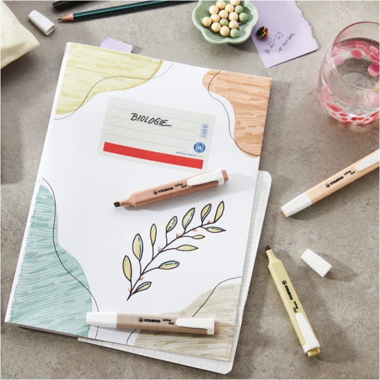 EVIDENZIATORI SWING 10PZ FAVA CACAO 165 STABILO 3