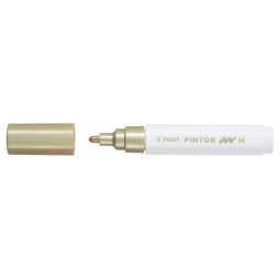 PINTOR 6PZ ORO PENNARELLO BASE ACQUA
