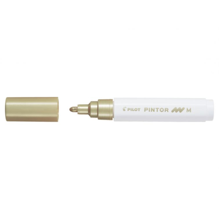 PINTOR 6PZ ORO PENNARELLO BASE ACQUA