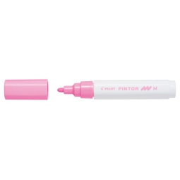 PINTOR 6PZ ROSA FUN PENNARELLO BASE ACQUA