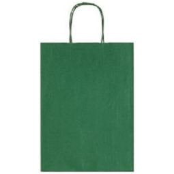 SHOPPER 22X27X10CM MANICI RITORTI VERDONE 25PZ