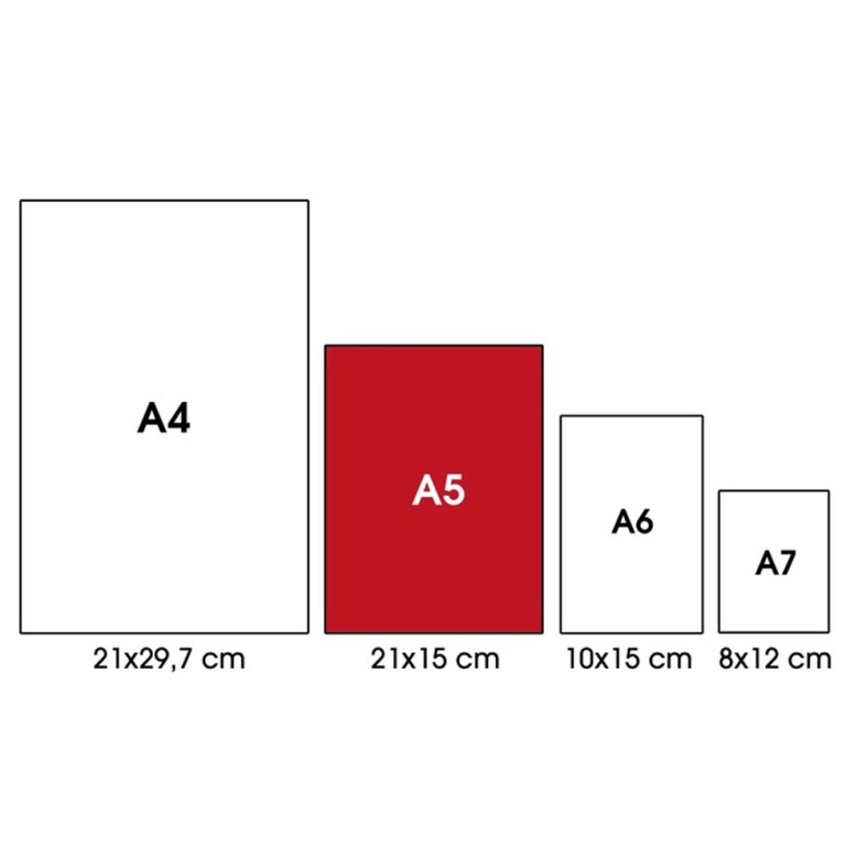 QUADERNI 100GR RIG.A 12PZ CENTUS 3