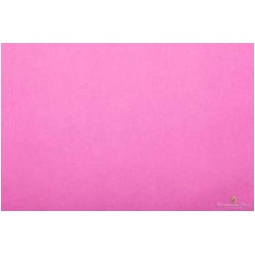 CARTA VELINA 50X76CM 24 FOGLI 21GR ROSA