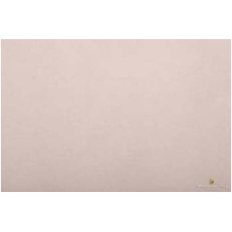 CARTA VELINA 50X76CM 24 FOGLI 21GR PANNA