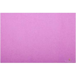 CARTA VELINA 50X76CM 24 FOGLI 21GR GLICINE