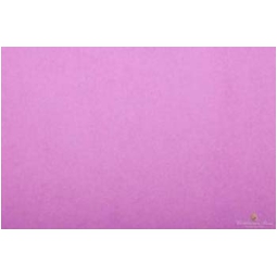 FOGLI CARTA VELINA 24FG  GLICINE 50X76CM