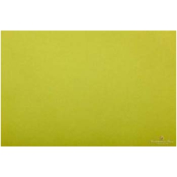 CARTA VELINA 50X76CM 24 FOGLI 21GR VERDE PISELLO