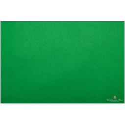 CARTA VELINA 50X76CM 24 FOGLI 21GR VERDE BRILLANTE