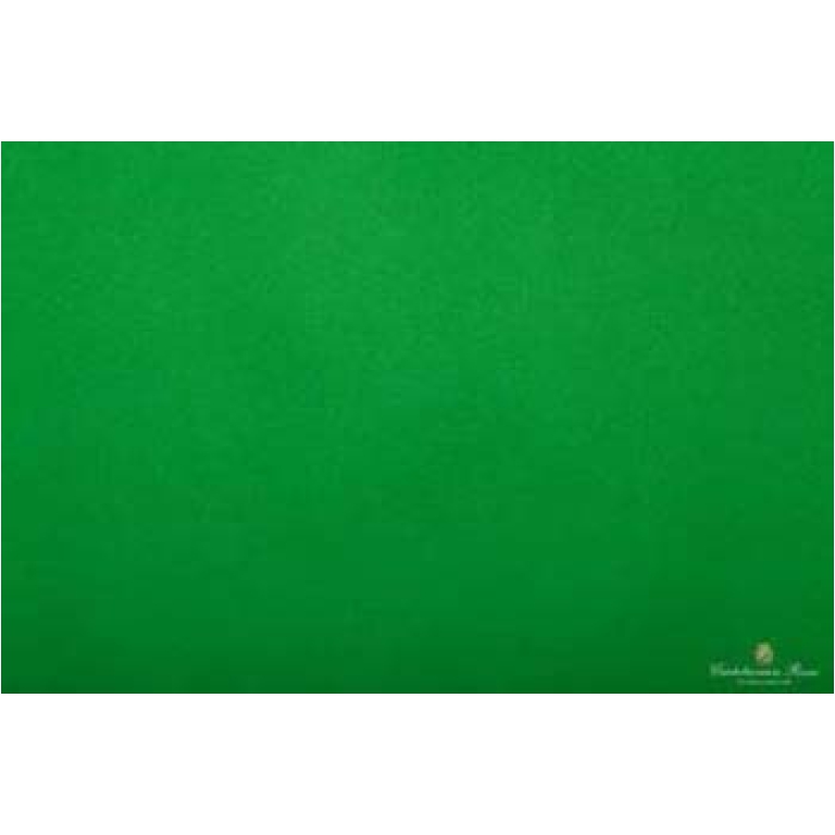 CARTA VELINA 50X76CM 24 FOGLI 21GR VERDE BANDIERA