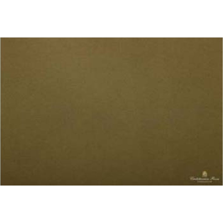 CARTA VELINA 50X76CM 24 FOGLI 21GR VERDE MUSCHIO