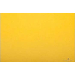 CARTA VELINA 50X76CM 24 FOGLI 21GR GIALLO