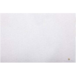 CARTA VELINA 50X76CM 24 FOGLI 25GR ARGENTO METALLIZZATO