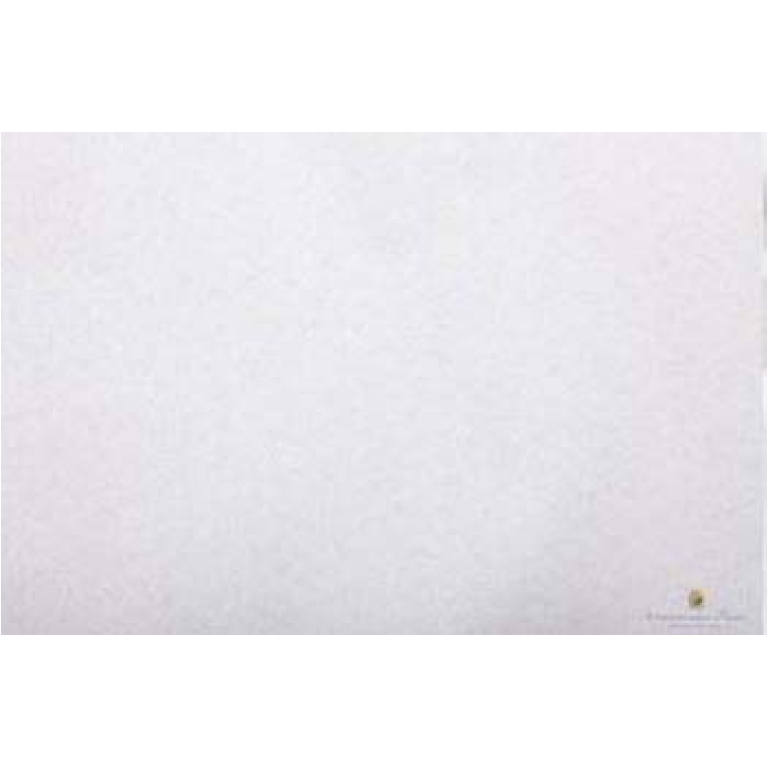 CARTA VELINA 50X76CM 24 FOGLI 25GR ARGENTO METALLIZZATO