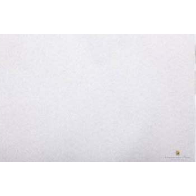 FOGLI CARTA VELINA 24FG  ARGENTO METALLIZZATO 50X76CM