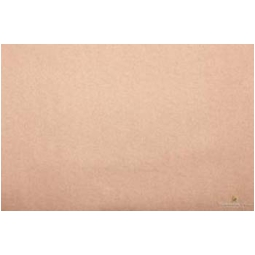 CARTA VELINA 50X76CM 24 FOGLI 25GR BRONZO METALLIZZATO