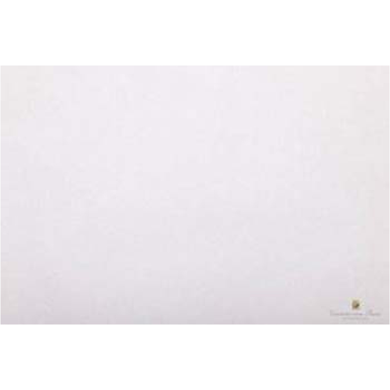 CARTA VELINA 50X76CM 24 FOGLI 25GR BIANCO PERLATO