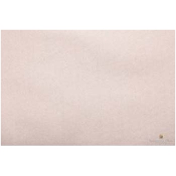CARTA VELINA 50X76CM 24 FOGLI 25GR PLATINO METALLIZZATO