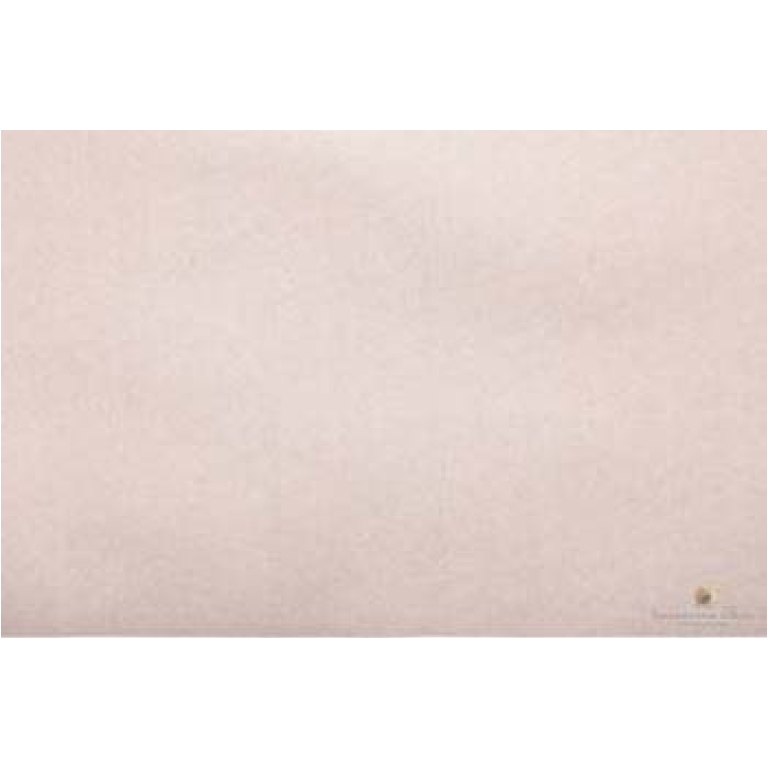 CARTA VELINA 50X76CM 24 FOGLI 25GR PLATINO METALLIZZATO