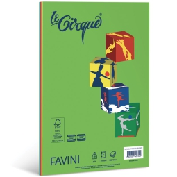 CARTA A4 80GR 100FG COLORI ASSORTITI FORTI LECIRQUE