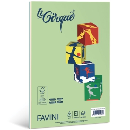 CARTA A4 80GR 100FG COLORI ASSORTITI TENUI LECIRQUE