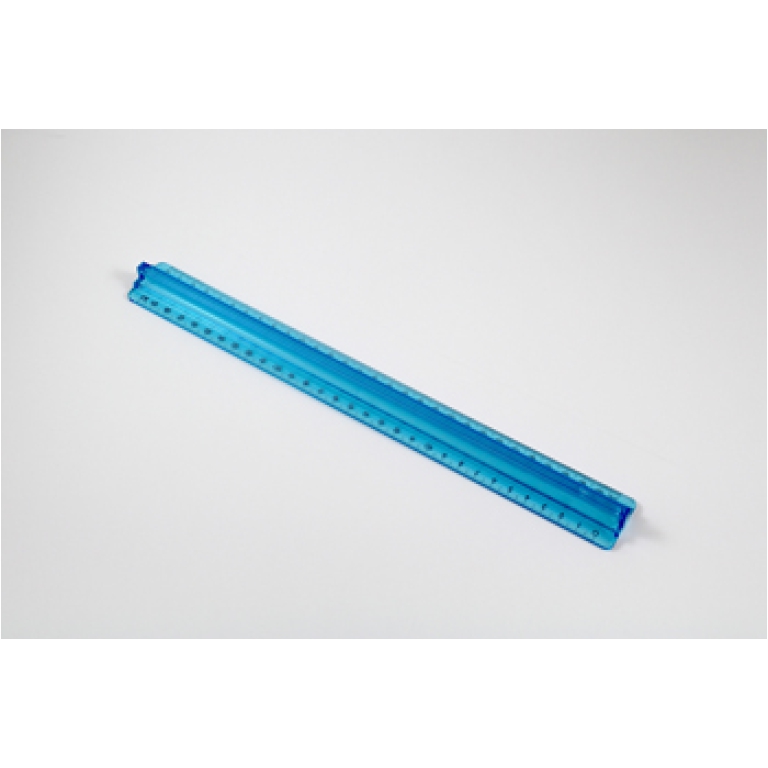 RIGA 30CM 20PZ PLASTICA  TRIPLODECIMETRO