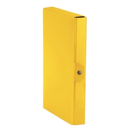 CARTELLE CON BOTTONE 5PZ DORSO 2 GIALLO