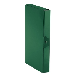 CARTELLE CON BOTTONE 5PZ DORSO 2 VERDE