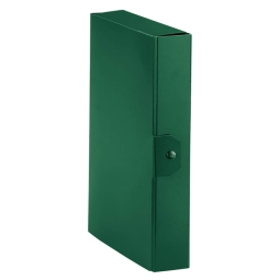 CARTELLE CON BOTTONE 5PZ DORSO 6 VERDE