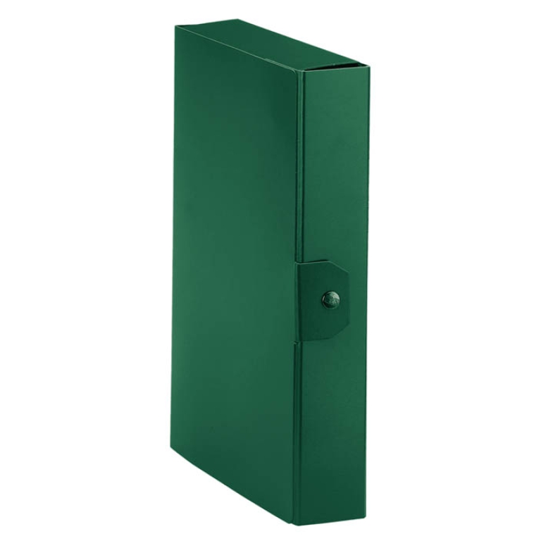 CARTELLE CON BOTTONE 5PZ DORSO 6 VERDE