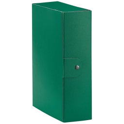 CARTELLE CON BOTTONE 5PZ DORSO 10 VERDE